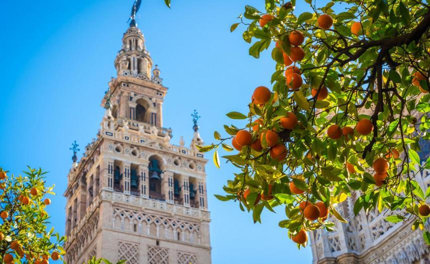 Callejon De La Luz Sevilla Eksteriør bilde